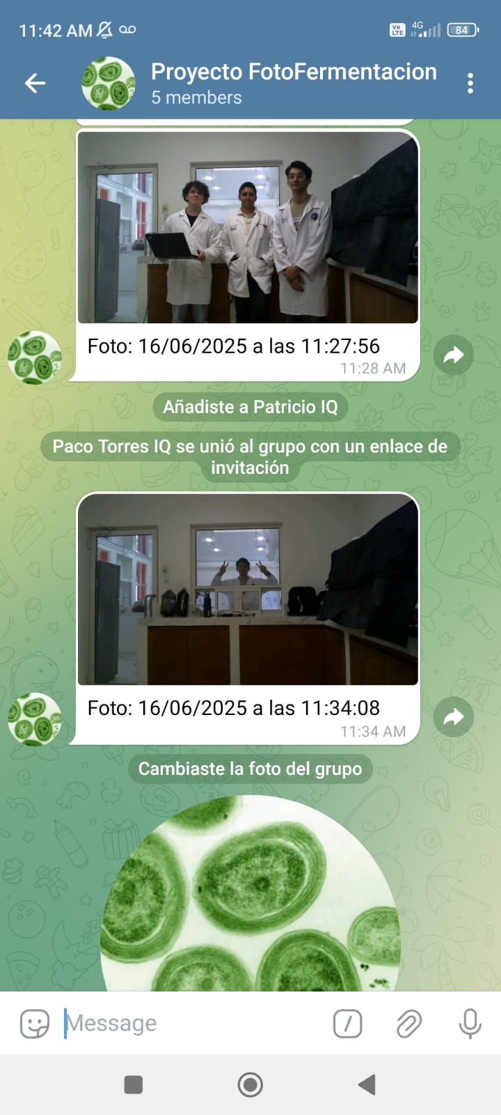 Captura de pantalla del grupo de Telegram recibiendo una foto